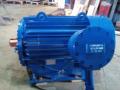 Электродвигатель 1ВАО-450М-2У2,5
