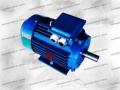 Электродвигатели,  редукторы,  частотные преобразова