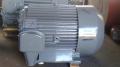 Электродвигатель 250кВт 1500 АО104-4МУ2 IP44