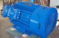 Продам электродвигатель ВАО2-355L10-У2.5.
