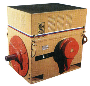 Электродвигатель асинхронный типа ДА304 и А4 напряжением 10 кВ